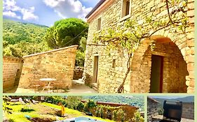 Bio Agriturismo Alba Etrusca Di Cortona - Organic Farmhouse- Appartamento Lavanda-Appartamento Rosmarino - Vasca Idromassaggio Esterna