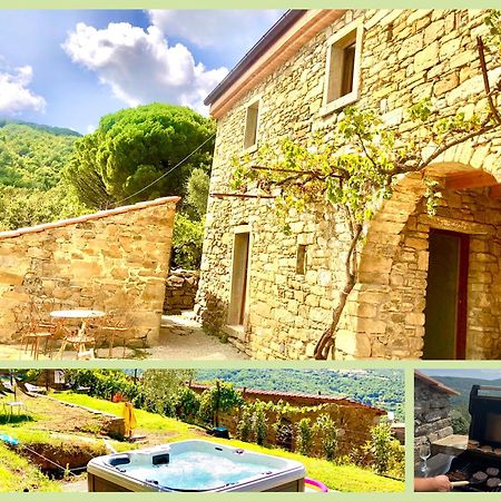 Bio Agriturismo Alba Etrusca Di Cortona - Organic Farmhouse- Appartamento Lavanda-Appartamento Rosmarino - Vasca Idromassaggio Esterna Poggioni Esterno foto
