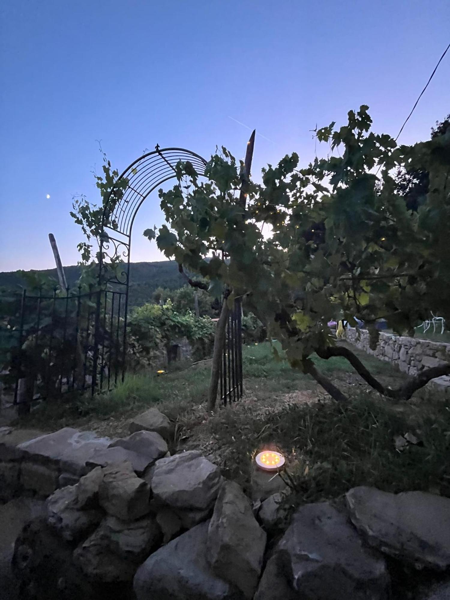 Bio Agriturismo Alba Etrusca Di Cortona - Organic Farmhouse- Appartamento Lavanda-Appartamento Rosmarino - Vasca Idromassaggio Esterna Poggioni Esterno foto