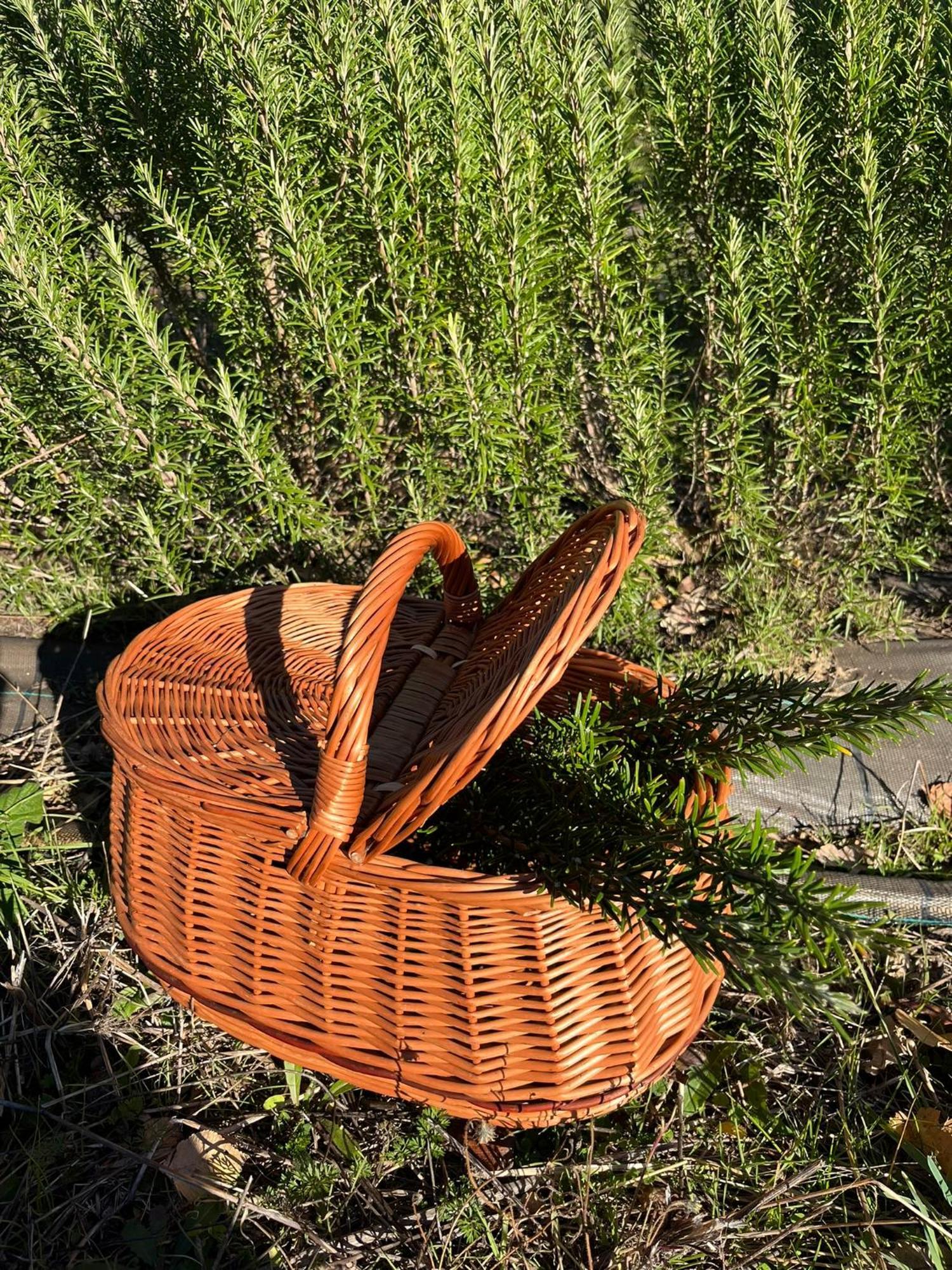 Bio Agriturismo Alba Etrusca Di Cortona - Organic Farmhouse- Appartamento Lavanda-Appartamento Rosmarino - Vasca Idromassaggio Esterna Poggioni Esterno foto